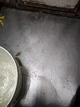 Snapshot of telugumodda4396 chatting on 11.12.25 telugumodda4396 online show from 11.12.25