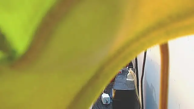 AnySugar online show from 02.15.25