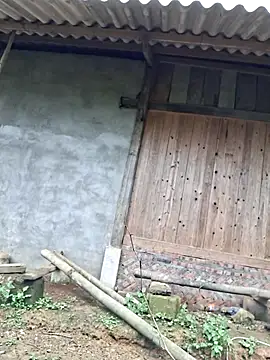 xuxulovezz online show from 11.09.25