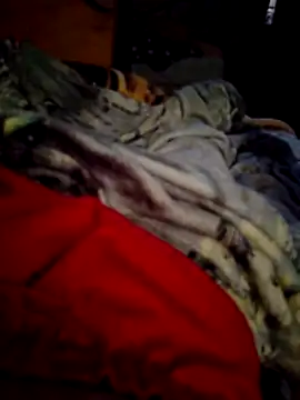 SALCEDO 041198 online show from 11.14.25