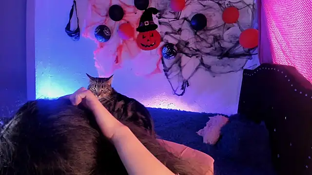 kitty  chs online show from 11.01.25