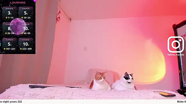 tellmemaddie online show from 11.01.25