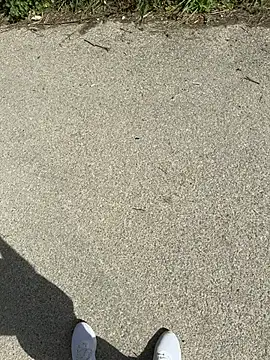 Italianofirenze online show from 04.15.26