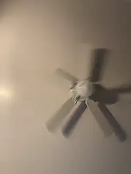 Snapshot of pmonie chatting on 11.16.25 pmonie online show from 11.16.25