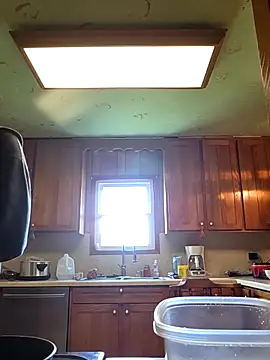 bear8t online show from 04.20.26