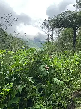 Snapshot of Penny39 chatting on 10.09.25 Penny39 online show from 10.09.25