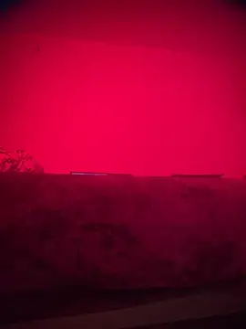 bellacagyal online show from 11.13.25