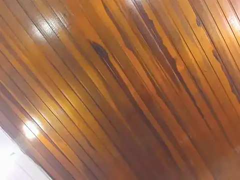 AliceCat 01 online show from 11.14.25