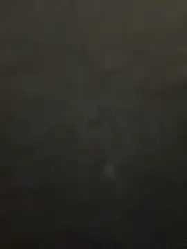 lee ly online show from 12.15.25