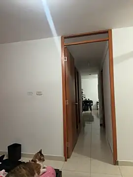 violeticafox online show from 12.21.25