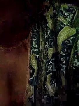 harinisree online show from 10.29.25