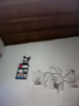 Solaangel  online show from 02.10.26