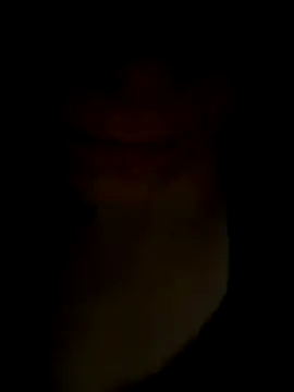 Snapshot of pleasedontpressaredburton chatting on 11.14.25 pleasedontpressaredburton online show from 11.14.25