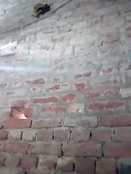 Snapshot of Rani_089 chatting on 10.06.25 Rani 089 online show from 10.06.25