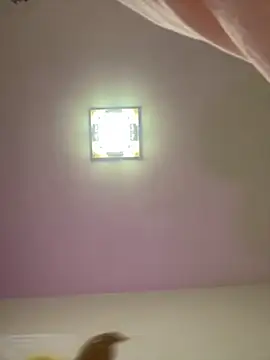 taotaobo online show from 12.15.25