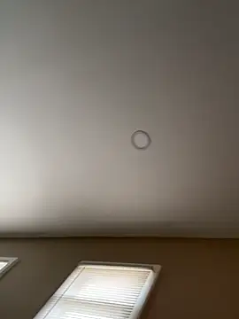 murphdolla online show from 11.29.25