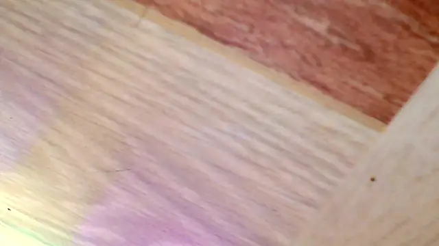 Snapshot of shannon_kinne_ chatting on 03.31.26 shannon kinne online show from 03.31.26