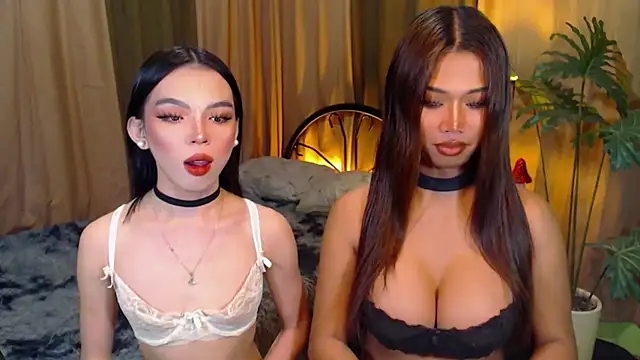 Snapshot of TWINKTRANSSHANEL chatting on 10.08.25 TWINKTRANSSHANEL online show from 10.08.25