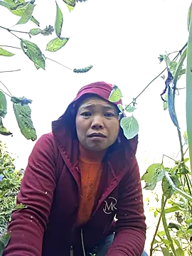 Snapshot of miomio-12 chatting on 11.29.25 miomio-12 online show from 11.29.25