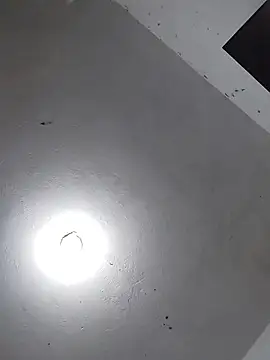  Bella Beth  online show from 11.26.25