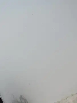  Bella Beth  online show from 12.02.25