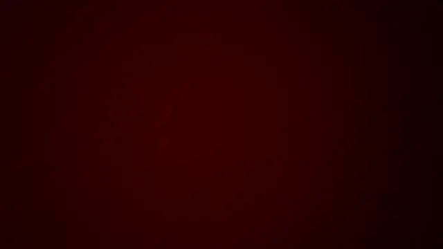 MolleDolle online show from 04.17.26