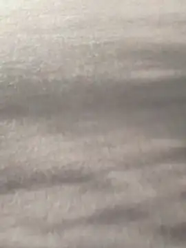 Y0ur Slave online show from 03.05.26