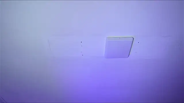 Bayonetta doll online show from 02.14.26