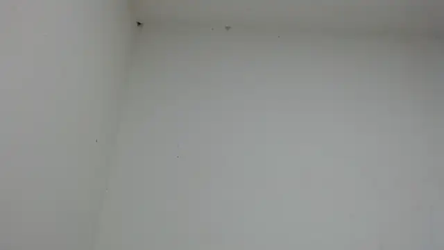 drako monster online show from 01.17.26