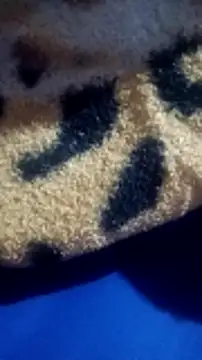 loizasilva online show from 04.28.26