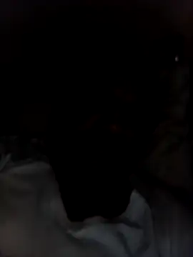 Mcbellorj online show from 11.12.25