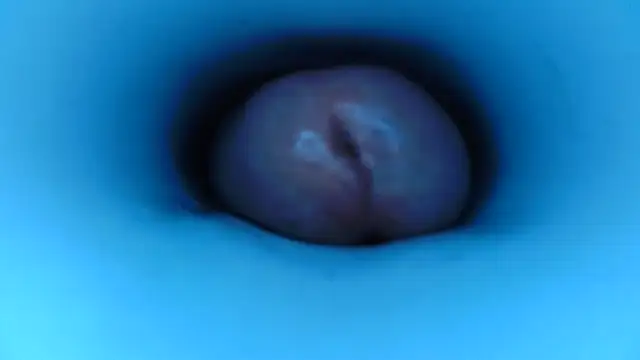 pedrolatino20cm online show from 12.15.25