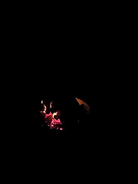 Snapshot of Floridaboy863 chatting on 02.05.26 Floridaboy863 online show from 02.05.26