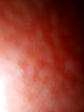 Snapshot of jhbswto chatting on 10.30.25 jhbswto online show from 10.30.25