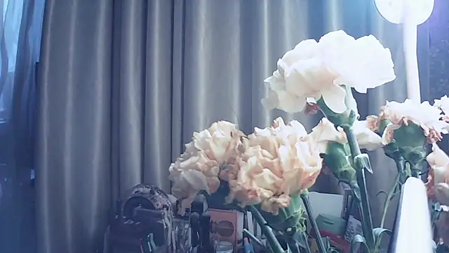 MoodieMira online show from 03.12.26