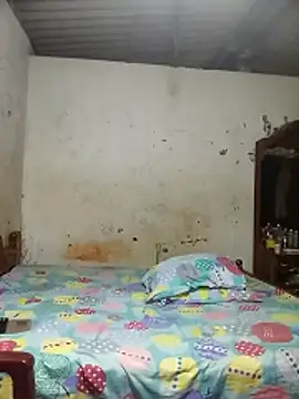 HarshiStar7 online show from 04.10.26