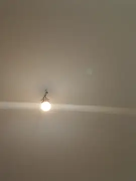 labellerose online show from 04.23.26