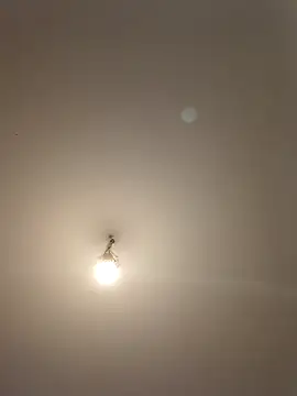 labellerose online show from 04.28.26