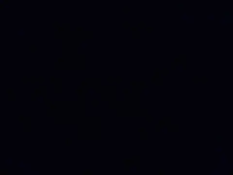 hii tanisha online show from 11.15.25