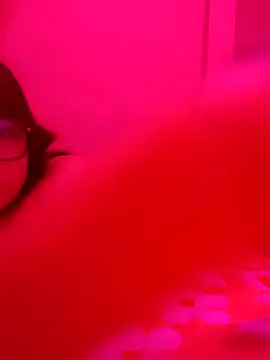 xcodigorojo online show from 11.20.25