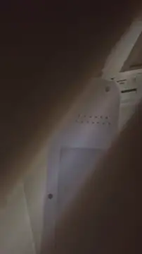 bunnydam online show from 11.06.25