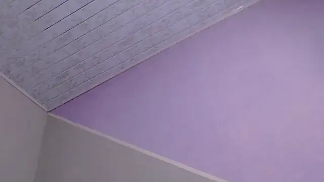 VioletGil Party  online show from 12.20.25