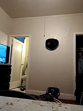 swipeswanger online show from 11.01.25