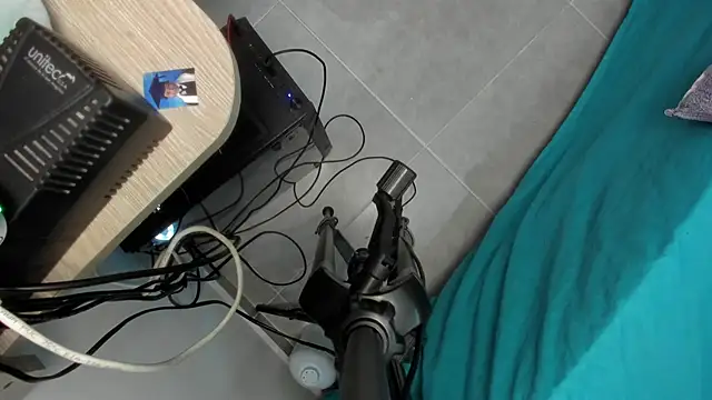 Sky Wild online show from 03.22.26