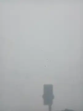 strip queennn online show from 11.10.25