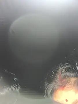 Snapshot of Ragni_bhargav chatting on 01.19.26 Ragni bhargav online show from 01.19.26