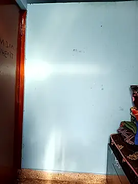 Deepa telugu online show from 04.17.26