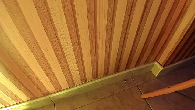 mia  blaze   online show from 12.20.25