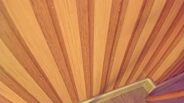 mia  blaze   online show from 01.15.26