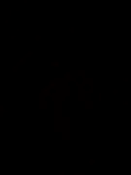 Orlao25cm online show from 11.15.25